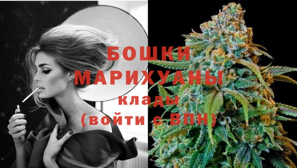 ПСИЛОЦИБИНОВЫЕ ГРИБЫ Баксан