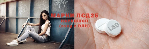 ПСИЛОЦИБИНОВЫЕ ГРИБЫ Баксан