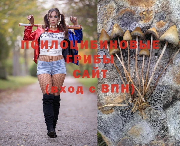 сатива Белоозёрский