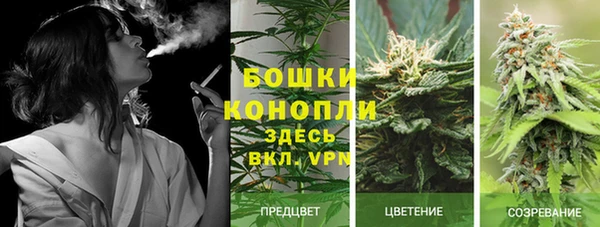 дживик Беломорск