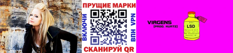 где найти Шлиссельбург Марки N-bome 1,8мг